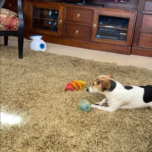 Meet your Posher, Paula